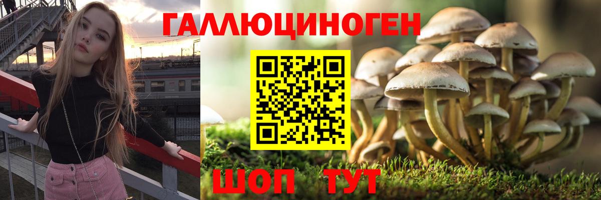 Псилоцибиновые грибы Cubensis Надым