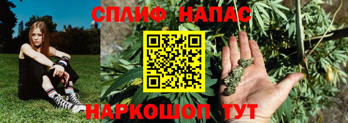Шишки марихуана сатива  Марихуана Bruce Banner  Надым  Вход с VPN  Канабис тримм 